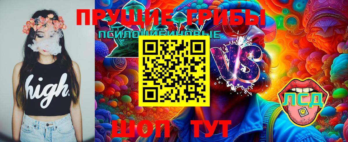 Псилоцибиновые грибы мицелий Мыски