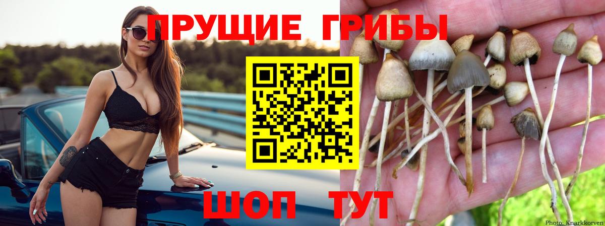 Галлюциногенные грибы Cubensis  Вход с VPN  Галлюциногенные грибы MAGIC MUSHROOMS  Мыски 